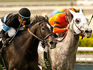 Mizdirection wins the 2013 Las Cienegas.