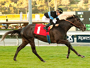 Mizdirection wins the Monrovia Stakes.