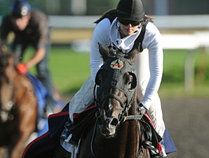 Mobilizer at Woodbine on July 1, 2010.