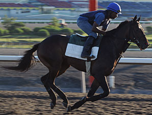Mobthewarrior at Woodbine on July 3, 2010.