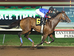Moe Man wins the 2013 John Bullit Stakes.