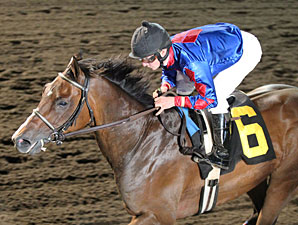Moe Man wins the 2013 John Bullit Stakes.