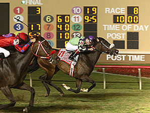 Molly's Honour wins the 2014 Lane's End Stallion Scholarship Stakes.