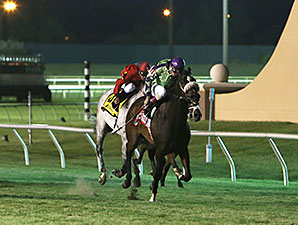 Molly's Honour wins the 2014 Lane's End Stallion Scholarship Stakes.