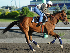 Moment of Majesty at Woodbine on June 8, 2010.