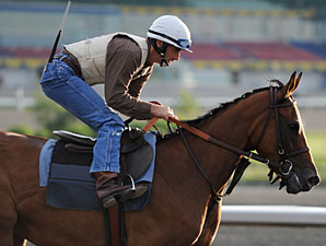 Moment of Majesty at Woodbine on June 11, 2010.