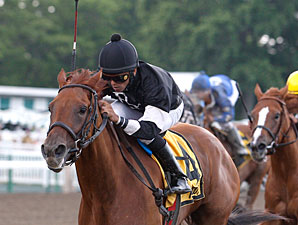 Moneigh Lisa wins the 2010 Spruce Fir.
