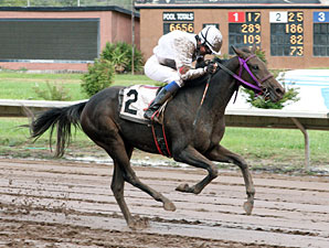 Moneyatlast wins the 2013 Fair Queen Handicap.