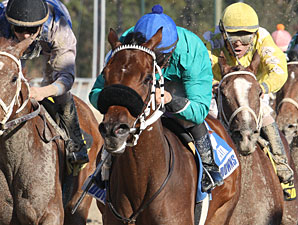 Monono wins the 2012 Orleans Stakes.