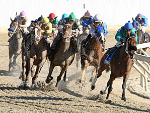 Monono wins the 2012 Orleans Stakes.