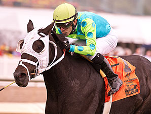 Monster Sleeping wins the 2013 Maryland Million Ladies Stakes.