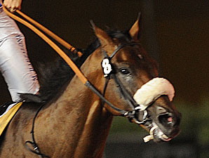 Monterosso in the Dubai World Cup.
