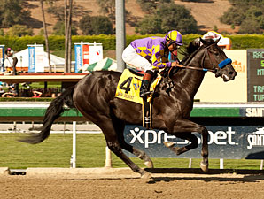Monument wins the 2012 Bob Benoit CA Cup Juvenile Stakes.