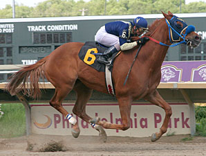 Moon Royal wins the 2010 Lyman Handicap.