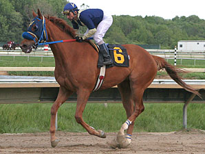Moon Royal wins the 2010 Lyman Handicap.