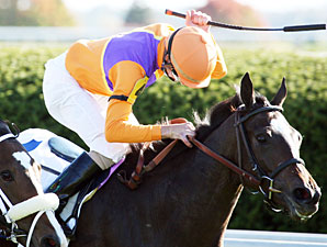 Moonwalk wins the 2012 Jessamine Stakes.