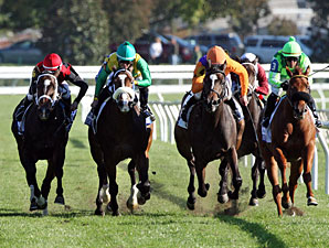 Moonwalk wins the 2012 Jessamine Stakes.