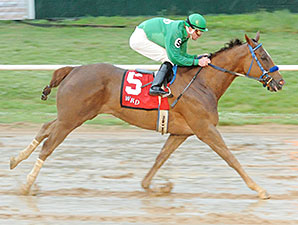 More Than Even wins the RPDC Classic Distaff.