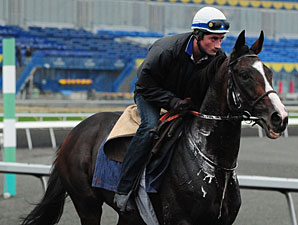 Mores Wells at Woodbine, October 13, 2011.