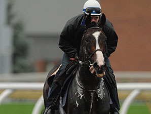 Mores Wells at Woodbine, October 13, 2011.