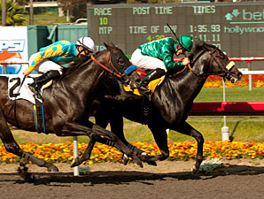 Morning Line wins the 2012 Mervyn LeRoy.
