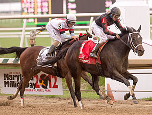 Motherload Hipster wins the 2012 Maryland Million Distaff Starter Handicap.
