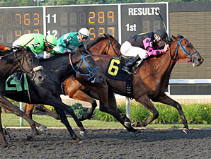 Motion to Appeal wins the 2012 Leematt Stakes.