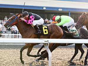 Motion to Appeal wins the 2012 Leematt Stakes.