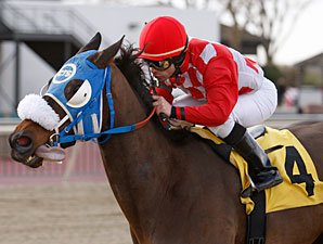 Movin' Out wins the 2011 Bensalem Stakes.