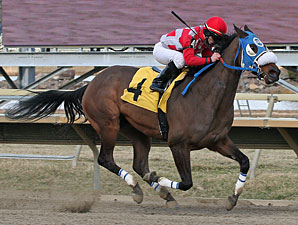 Movin' Out wins the 2011 Bensalem Stakes.