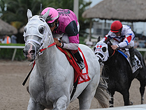 Mr. Baker wins the 2014 Housebuster Stakes.