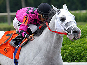 Mr. Baker wins the 2014 Ponche Handicap.