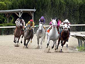 Mr. Baker wins the 2014 Ponche Handicap.