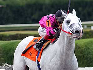 Mr. Baker wins the 2014 Ponche Handicap.
