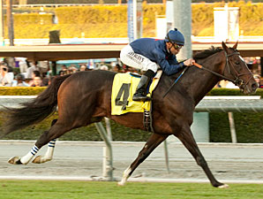 Mr. Commons in the Sir Beaufort Stakes.