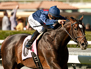 Mr. Commons wins the 2012 Arcadia.