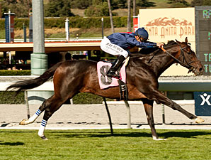 Mr. Commons wins the 2012 Arcadia.