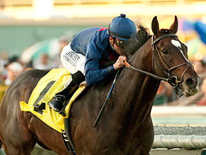Mr. Commons in the Sir Beaufort Stakes.