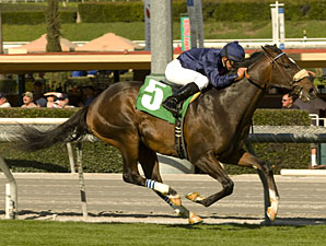 Mr. Commons Maiden Win 01/15/11