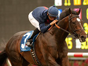 Mr. Commons wins the 2011 Oceanside.