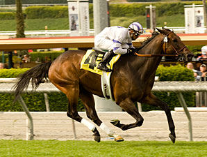 Mr Gruff wins the 2010 San Simeon.