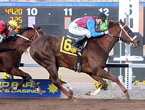 Mr. Wizard wins the 2013 Albert Dominguez Memorial Handicap.