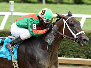 Ms Anna Destiny wins the 2013 West Virginia Secretary of State Stakes.