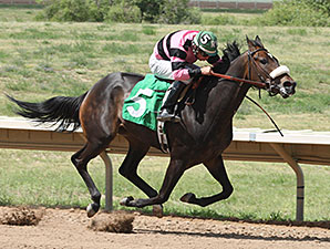 Ms. Battlefield wins the 2014 Silver Cup Futurity Filly Division