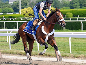 Mucho Macho Man - Belmont Park June 5, 2011.
