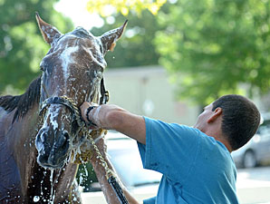 Mucho Macho Man - Belmont Park June 5, 2011.