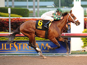 Mucho Macho Man wins the 2012 Florida Sunshine Millions Classic.