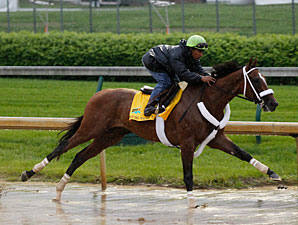 Mucho Macho Man works at Churchill Downs.