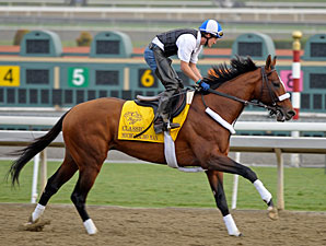 Mucho Macho Man at Santa Anita 11/1/2012.