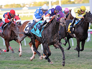 Mucho Mas Macho wins the 2013 Ft. Lauderdale Stakes.